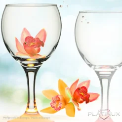 Trinkgläser Bunt Aus Glas Weingläser Mit Buntem Stiel 220ml Set 6-Teilig Getränkeglas Wasserglas Weißweingläser 14 Trinkgläser Bunt Aus Glas Weingläser Mit Buntem Stiel 220ml Set 6-Teilig Getränkeglas Wasserglas Weißweingläser -Küchenwaren Geschäft 04fc51e4106ab66456b25fd598038667