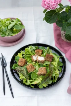 Kombiservice, Steinzeug Kombiservice, Steinzeug ALENIA Mäser -Küchenwaren Geschäft 157ccff3a12489c317253a41a6b0d292