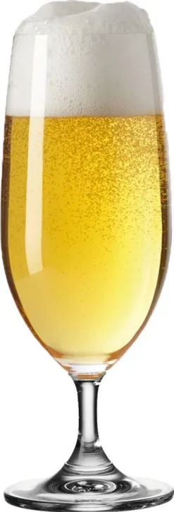 Leonardo Daily 6 Er Krt. Biertulpen -Küchenwaren Geschäft 393af5dd7bc5a9e7a17d48f344381608