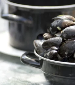 Muscheltopf Für Ca. 1,5 - 2KG Muscheln 20cm -Küchenwaren Geschäft 3e5ad36e0d3749bf7d1a723a1f1429c4