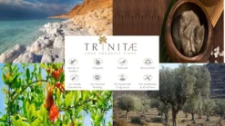 Villeroy & Boch 2 X Latte Macchiato Glas Ohne Henkel NewWave Vorteilsset 2 X Art. Nr. 1137373422 Und Gratis 1 Trinitae Körperpflegeprodukt 9 Villeroy & Boch 2 X Latte Macchiato Glas Ohne Henkel NewWave Vorteilsset 2 X Art. Nr. 1137373422 Und Gratis 1 Trinitae Körperpflegeprodukt -Küchenwaren Geschäft 67077e59e1a1032d5c820cf4eae4ab17 1