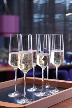 LEONARDO Sektglas PUCCINI 6er-Set 280 Ml, 069550 -Küchenwaren Geschäft 6d191464b7925c9a162effb69855043e