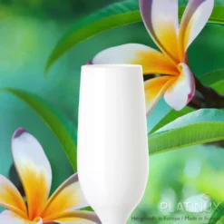 Weiße Sektgläser Set 6 Teilig Champagnergläser 160ml (max. 200ml) Aus Glas -Küchenwaren Geschäft 71e37cf06c21062af65bcb33b4e3921a