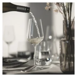 STERNSCHLIFF WEIßWEINGLAS-SET #2 VON DESIGN BY RITZENHOFF -Küchenwaren Geschäft 924c4df2ef31882be6e08443b9efb8c1